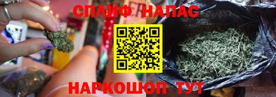 крисы Малоярославец