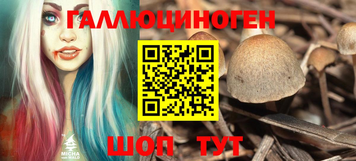Псилоцибиновые грибы GOLDEN TEACHER Ижевск