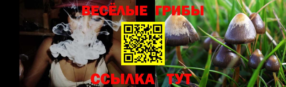 Псилоцибиновые грибы Cubensis  Вход с VPN  Ижевск 